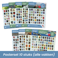 Voortgezet onderwijs - MAX Posterset Boekentips posterset 10 unieke vakposters 1, 2, 3, 4, 5, 6 vmbo-bkgt havo vwo